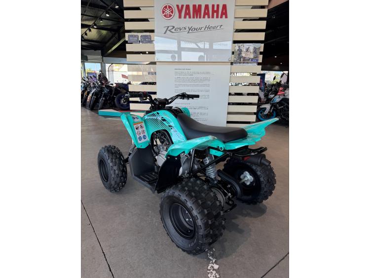 YAMAHA YFM 110 RAPTOR -  YFM110R-25 