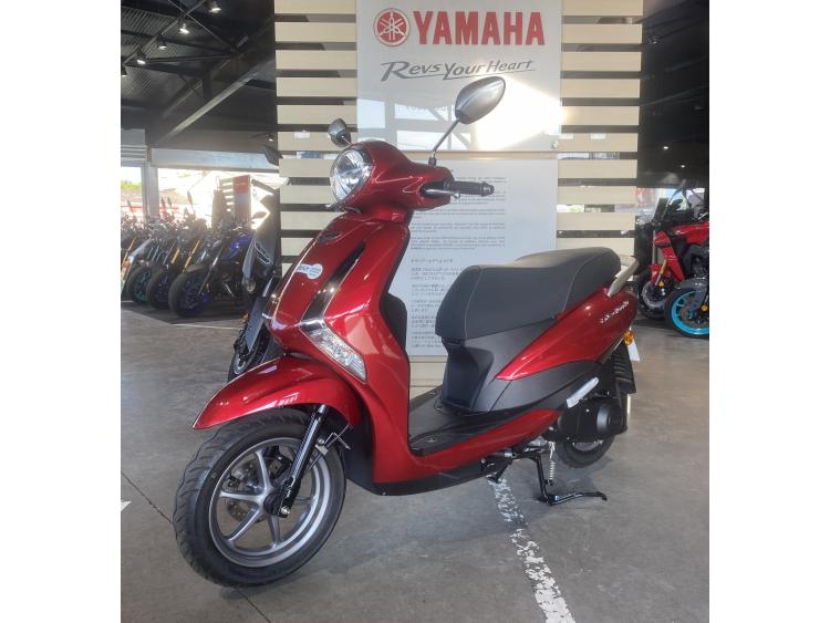 YAMAHA D'ELIGHT